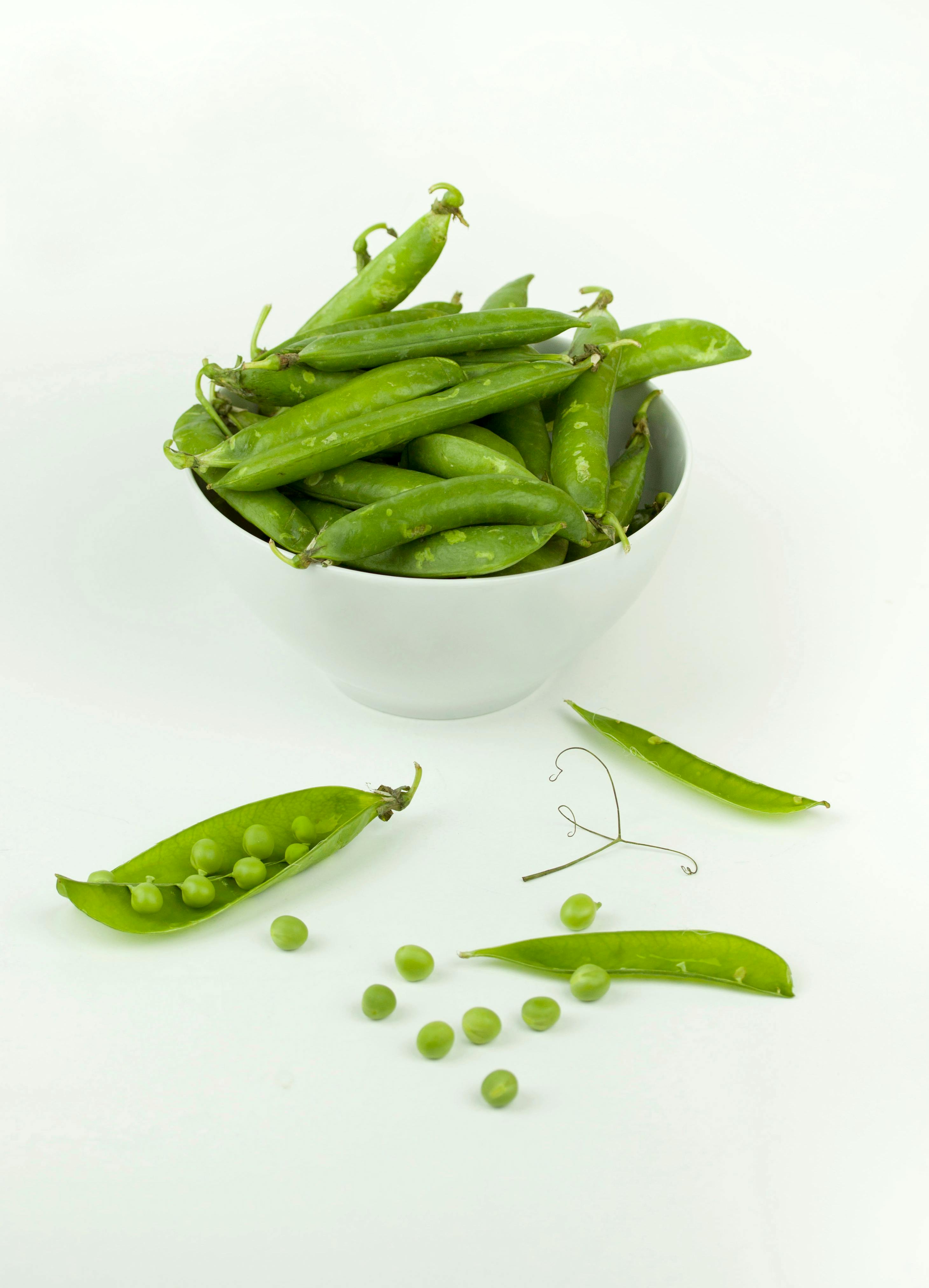 Plant Based Foods