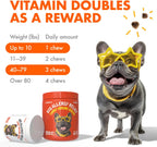 Legipet Allergy Relief Chews for Dogs & Immune & Digestive Supplement