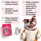 Legipet Cranberry UTI Chews for Dogs Bladder Support + D-Mannose 120 Chews