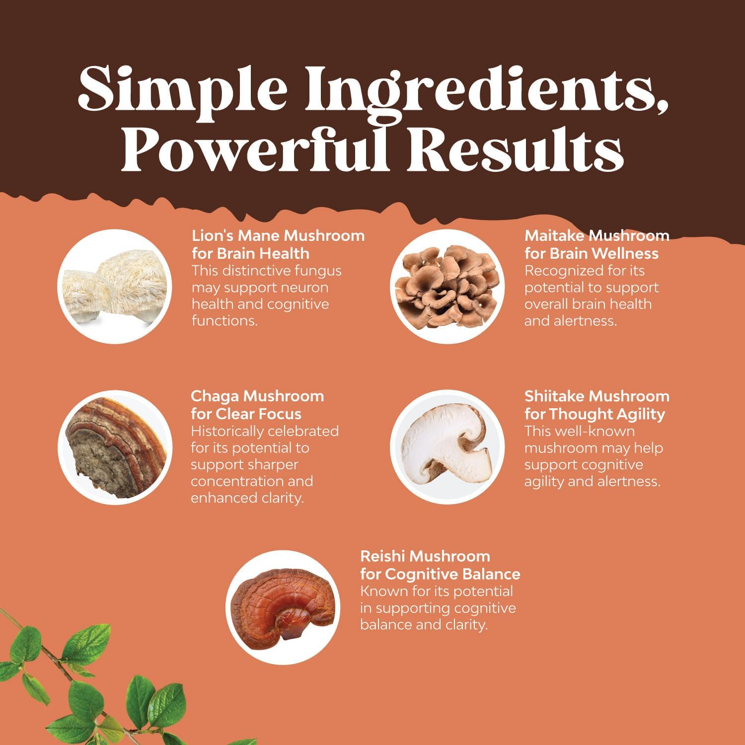 Natures Craft Advanced Mushroom Complex Capsules