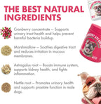 Legipet Cranberry UTI Chews for Dogs Bladder Support + D-Mannose 120 Chews