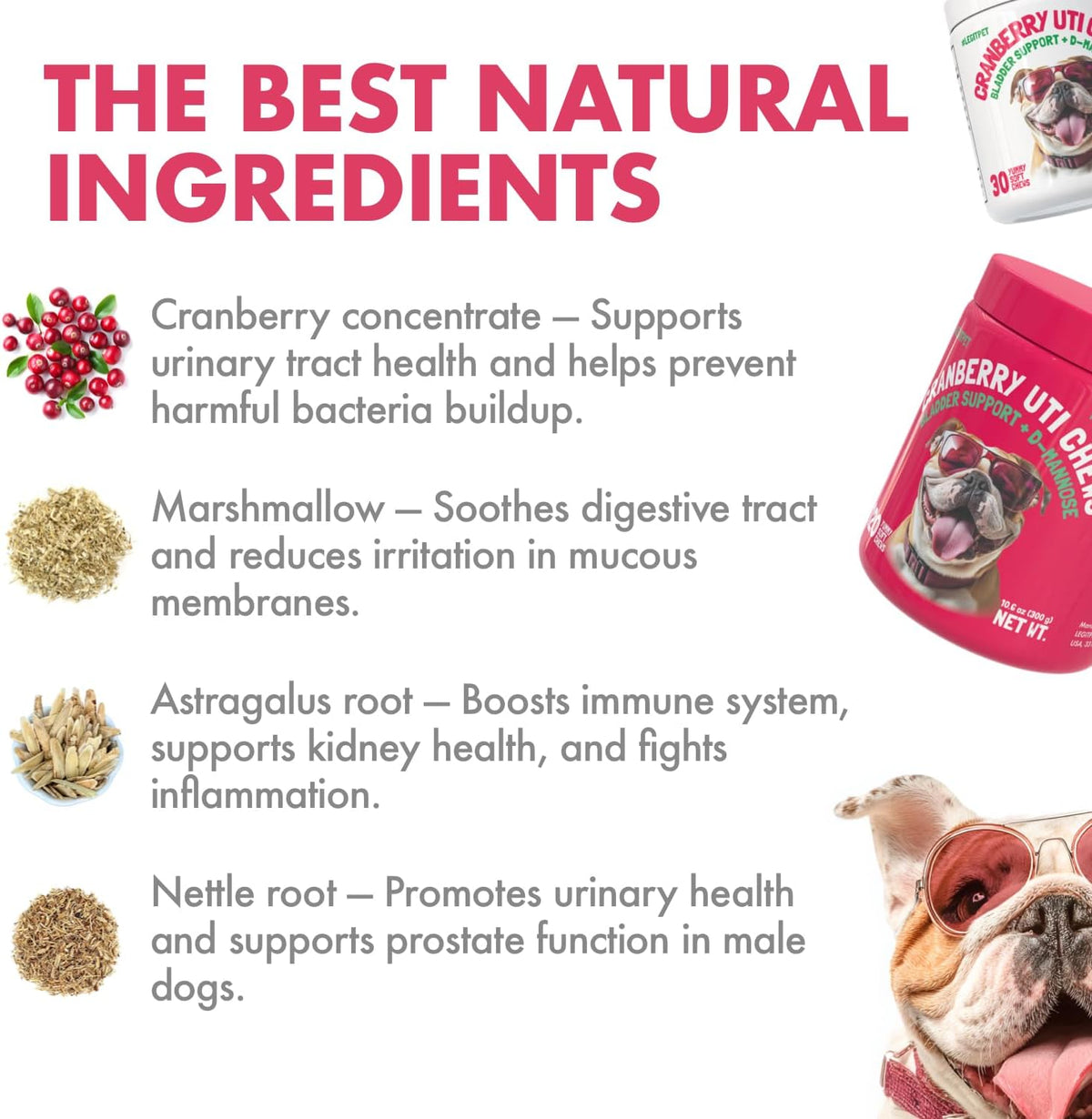 Legipet Cranberry UTI Chews for Dogs Bladder Support + D-Mannose 120 Chews