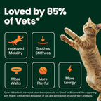 VetriScience Ultimate Strength Healthy Hip & Joint for Cats, Fish, 30 Count