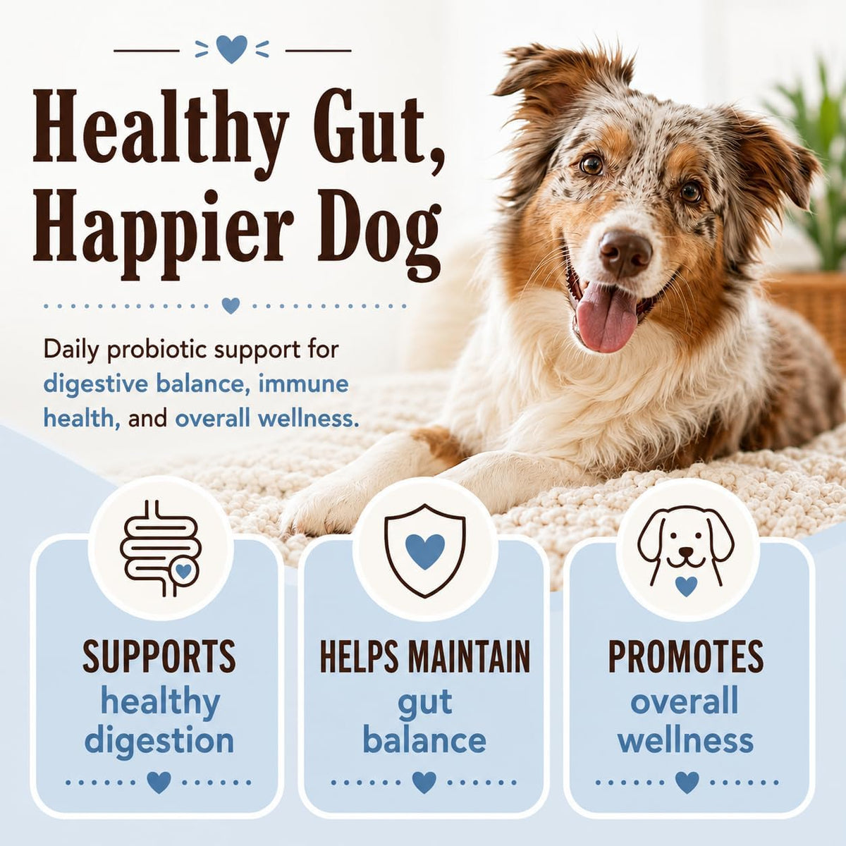 Natural Dog Company Dog Probiotic Chews, 45 Ct - 6 Weeks Supply