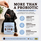 Natural Dog Company Dog Probiotic Chews, 45 Ct - 6 Weeks Supply