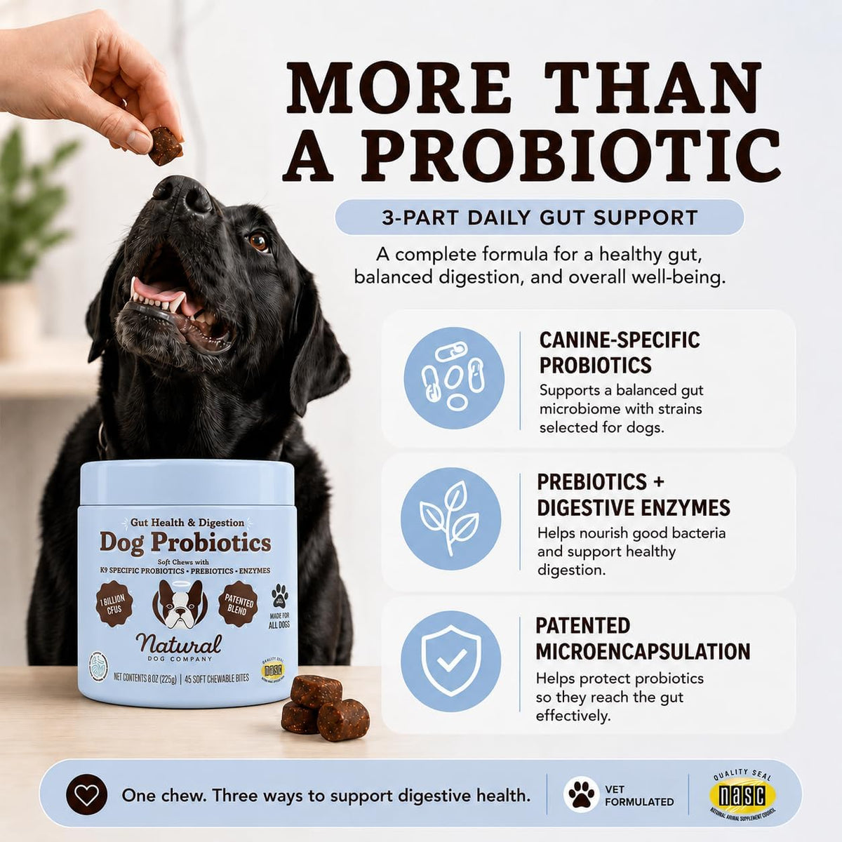 Natural Dog Company Dog Probiotic Chews, 45 Ct - 6 Weeks Supply