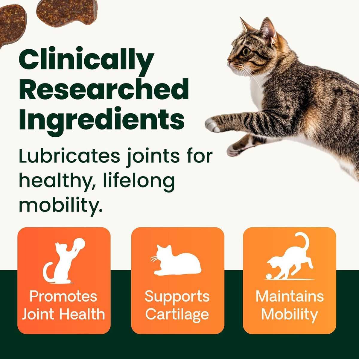 VetriScience Ultimate Strength Healthy Hip & Joint for Cats, Fish, 30 Count