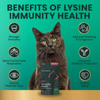 VetriScience Lysine Immunity Health Chews for Cats, Chicken, 90 Count