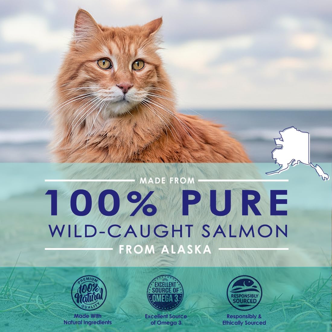 Premium Omega 3 Fish Oil for Cats - Wild Alaskan Salmon Oil Supplement