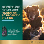VetriScience Extra Strength Gut Health for Dogs and Cats, 180 Count