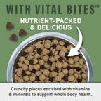 Natural Balance Specialized Nutrition Dry Dog Food with Lamb and Oatmeal for Dogs 3.5 lbs, pk of 2