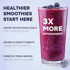 Wild Organic Blueberry Powder 5 Oz Bag - Antioxidant Rich Smoothies Freeze Dried