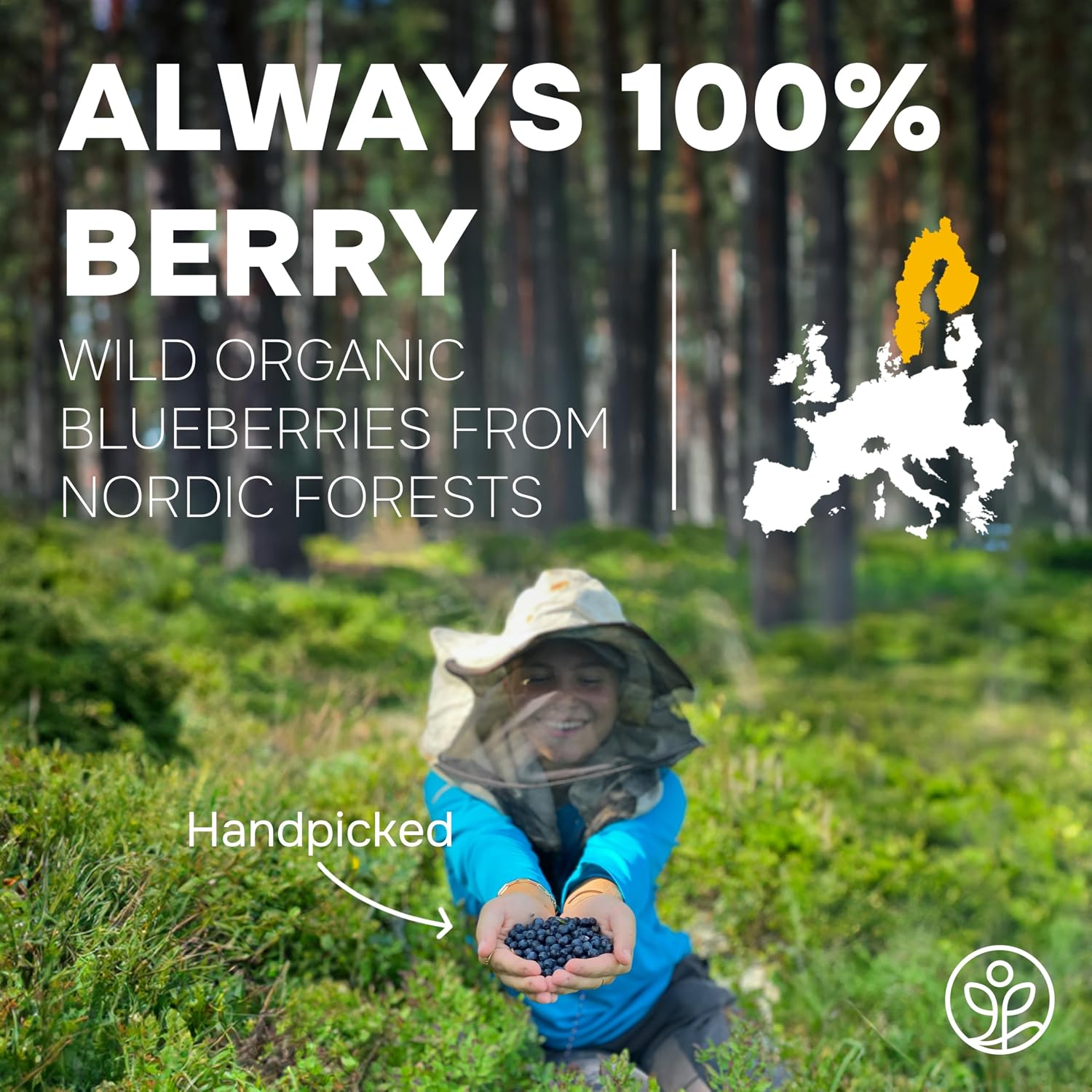 Wild Organic Blueberry Powder 5 Oz Bag - Antioxidant Rich Smoothies Freeze Dried