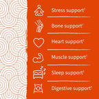 Garden of Life Dr. Formulated Magnesium Gummies, Orange Creme Pack of 1