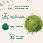 Micro Ingredients Organic Kale Powder