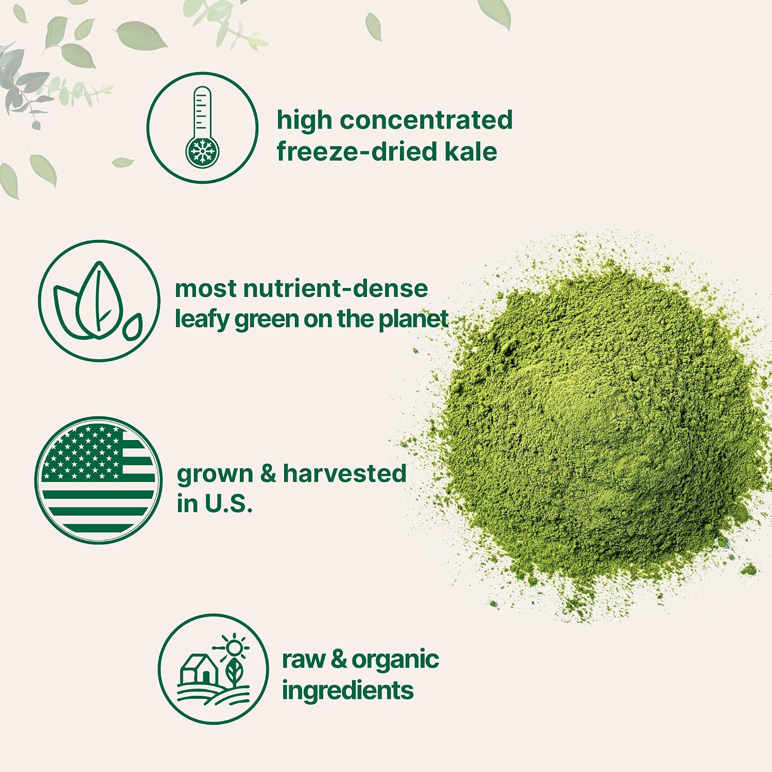 Micro Ingredients Organic Kale Powder
