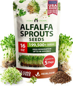 HOME GROWN Non GMO Alfalfa Sprout Seeds