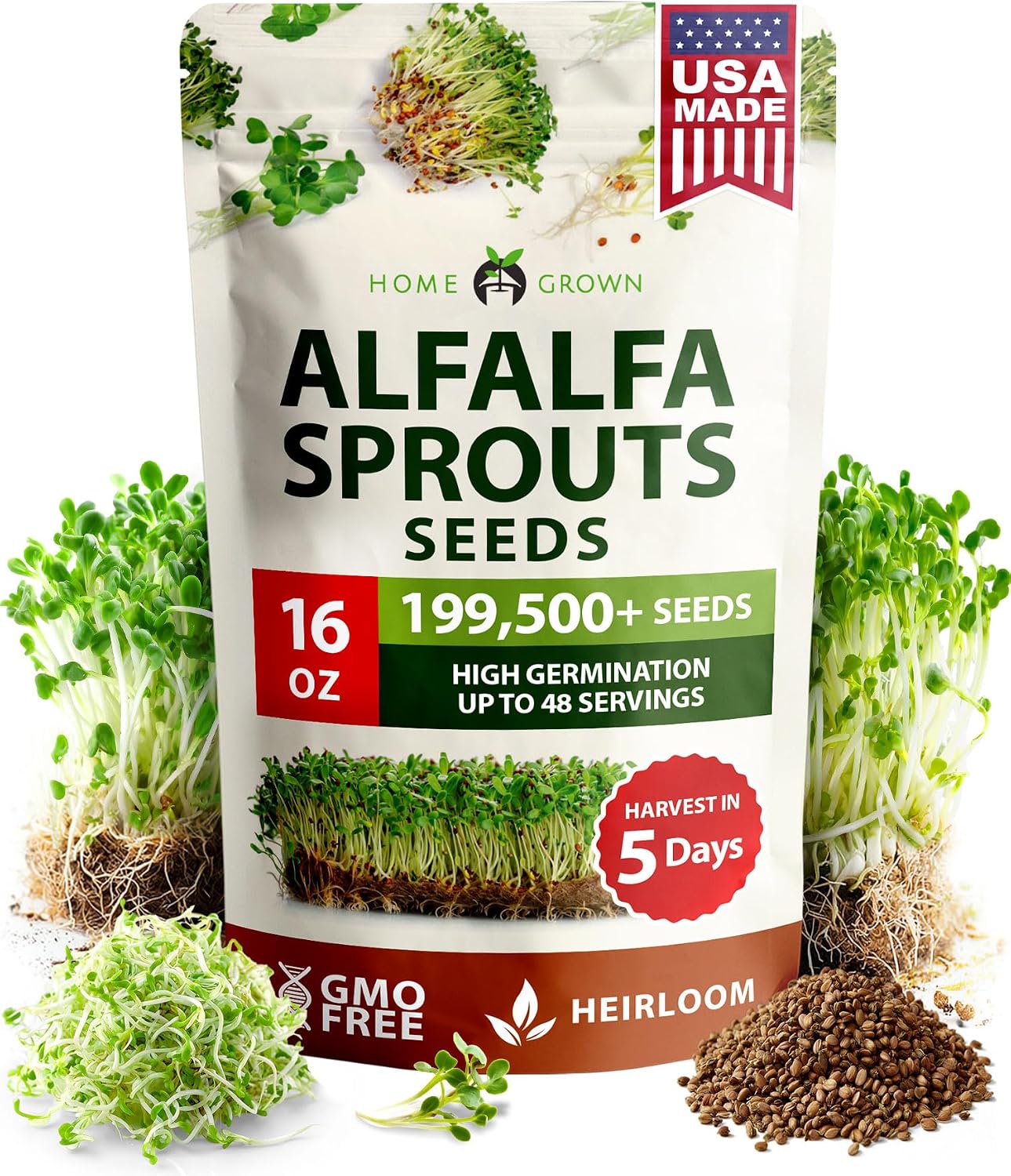 HOME GROWN Non GMO Alfalfa Sprout Seeds