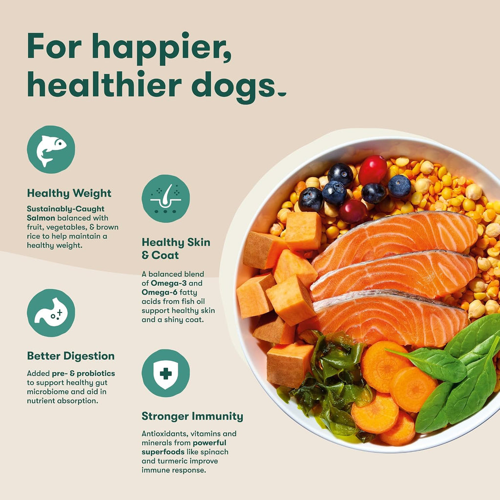 Jinx Grain Free Dry Dog Food - Real Salmon, Sweet Potato & Carrot, 4lb pk of 1