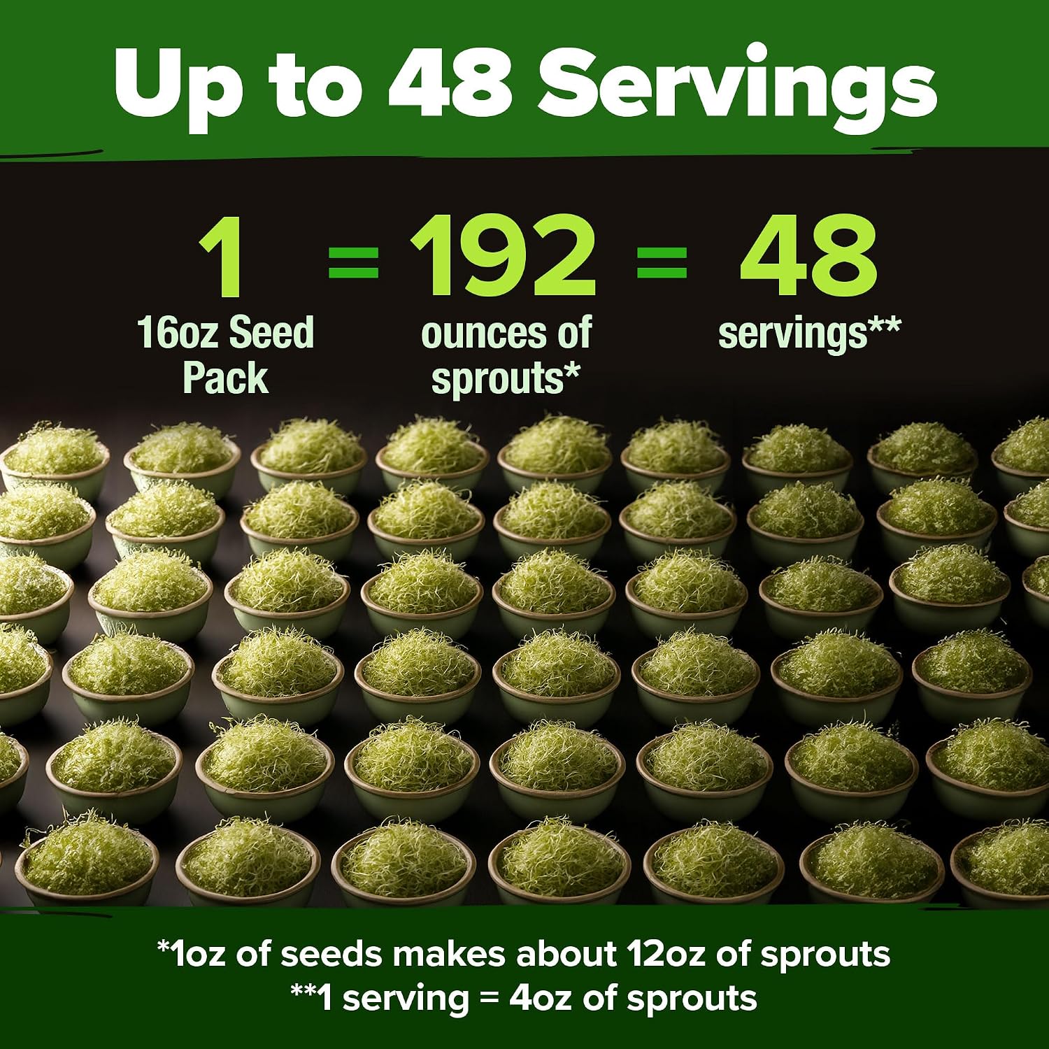 HOME GROWN Non GMO Alfalfa Sprout Seeds