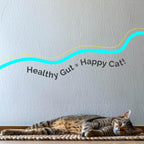 Purecat Digestive Health & Immune Support Supplement Probiotic Powder for Indoor and Outdoor Cats