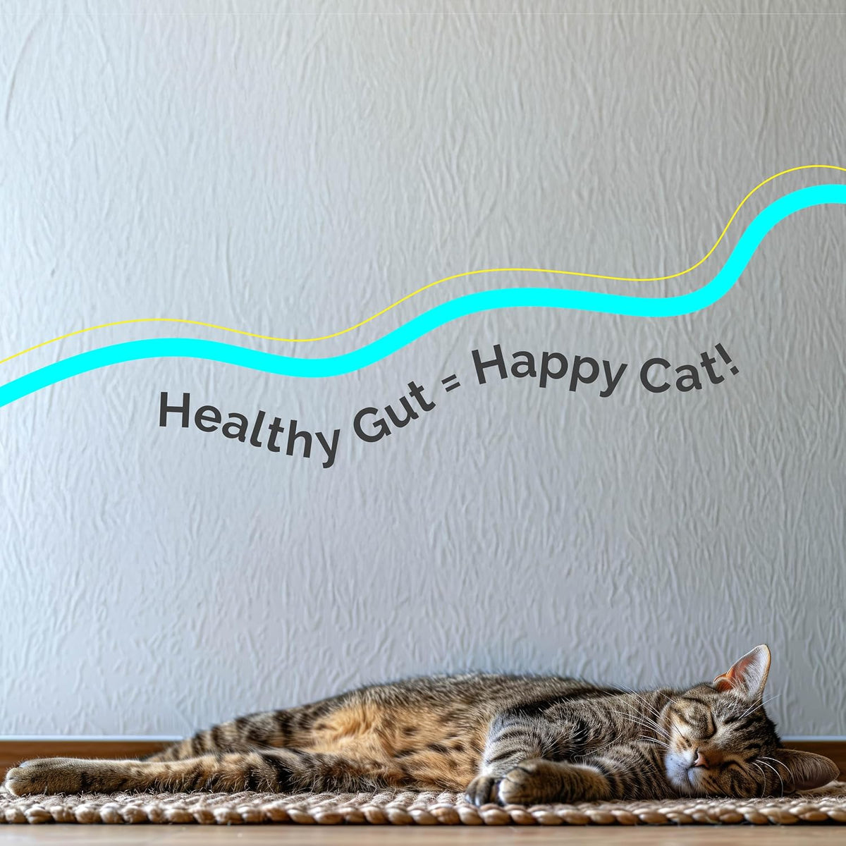Purecat Digestive Health & Immune Support Supplement Probiotic Powder for Indoor and Outdoor Cats