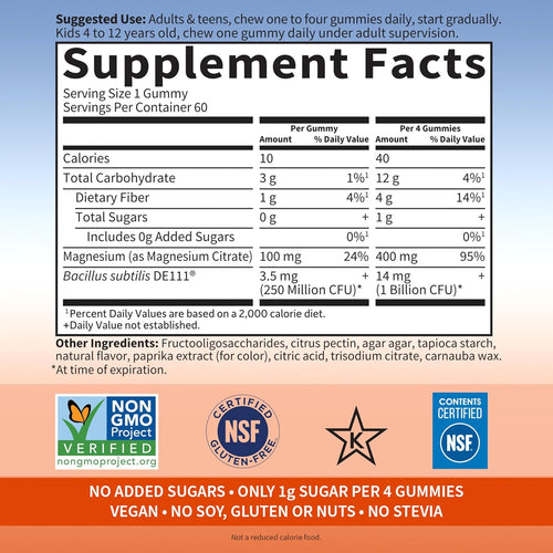 Garden of Life Dr. Formulated Magnesium Gummies, Orange Creme Pack of 1