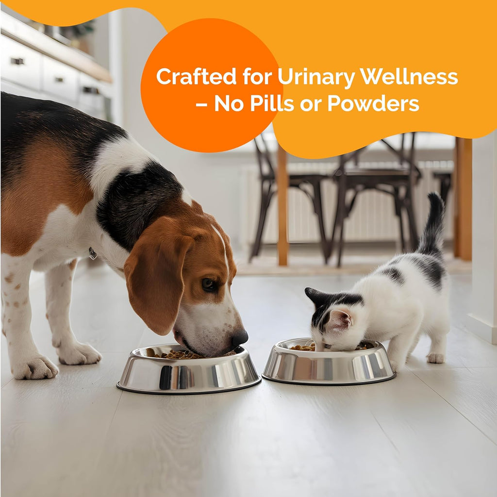 Purecat Urinary Tract Infection Care for Cat & Dog