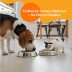 Purecat Urinary Tract Infection Care for Cat & Dog
