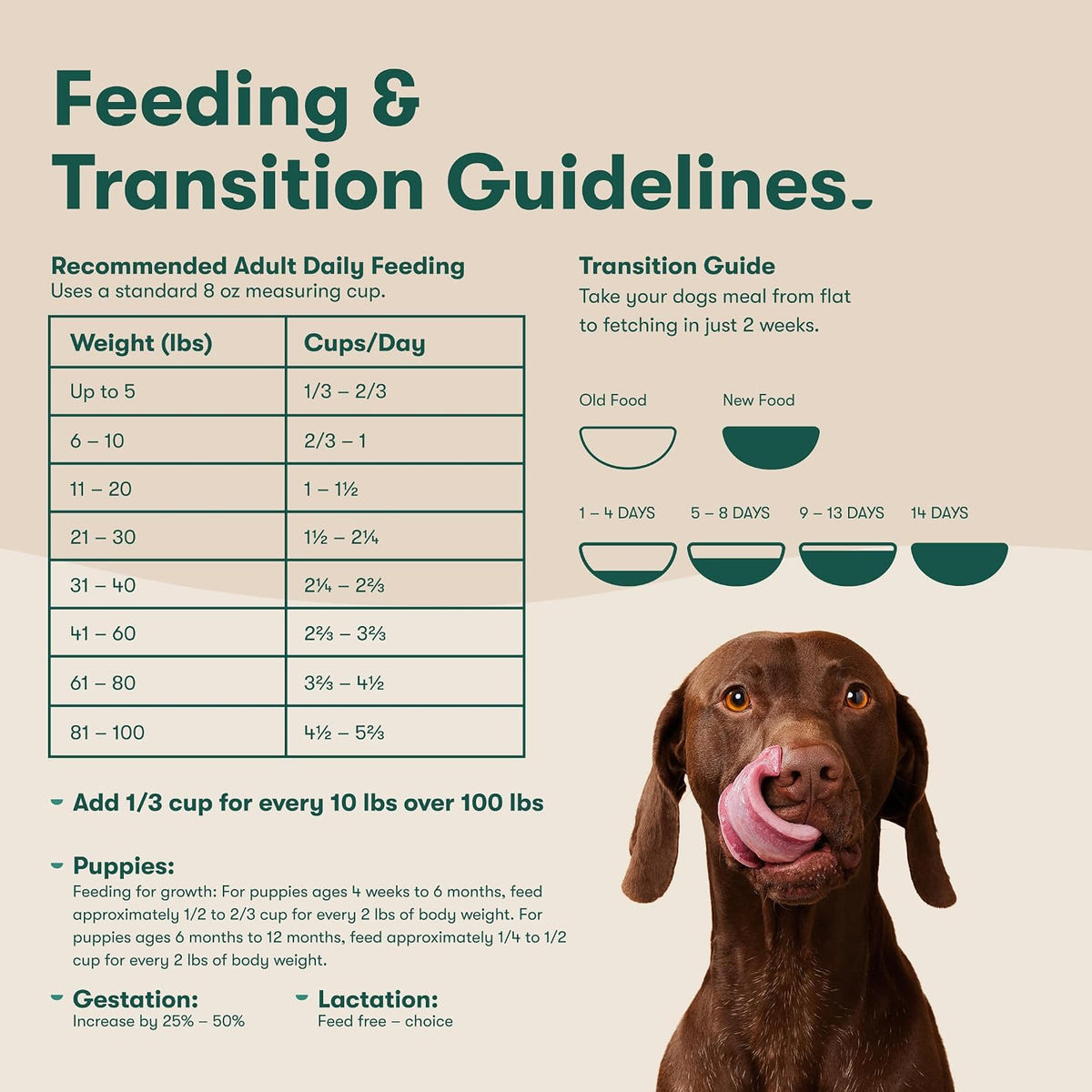 Jinx Grain Free Dry Dog Food - Real Lamb, Sweet Potato & Carrot, 4lb pk of 1