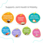 Purecat Joint Support Soft Chews Supplements for Cats of All Ages 200 ct