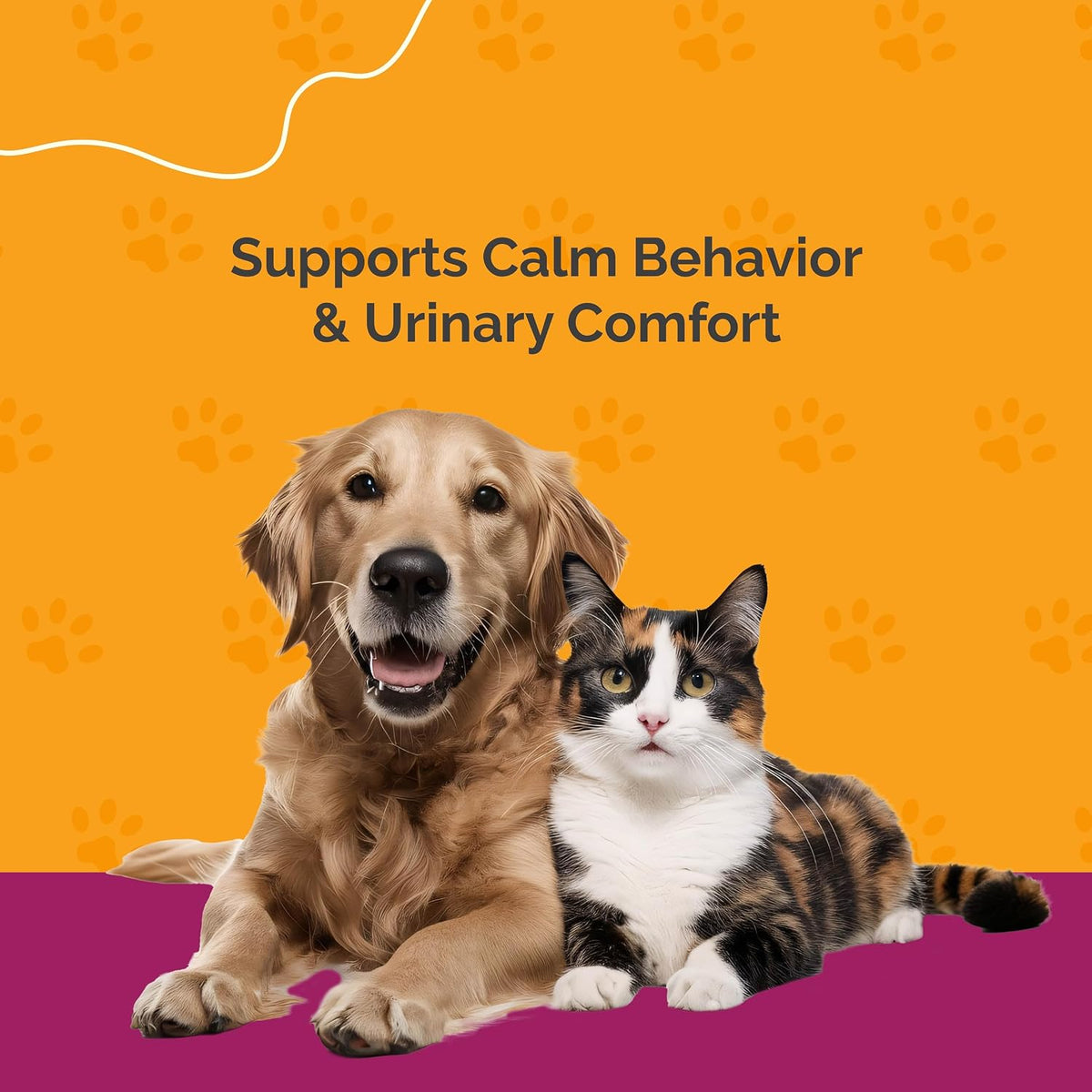 Purecat Urinary Tract Infection Care for Cat & Dog