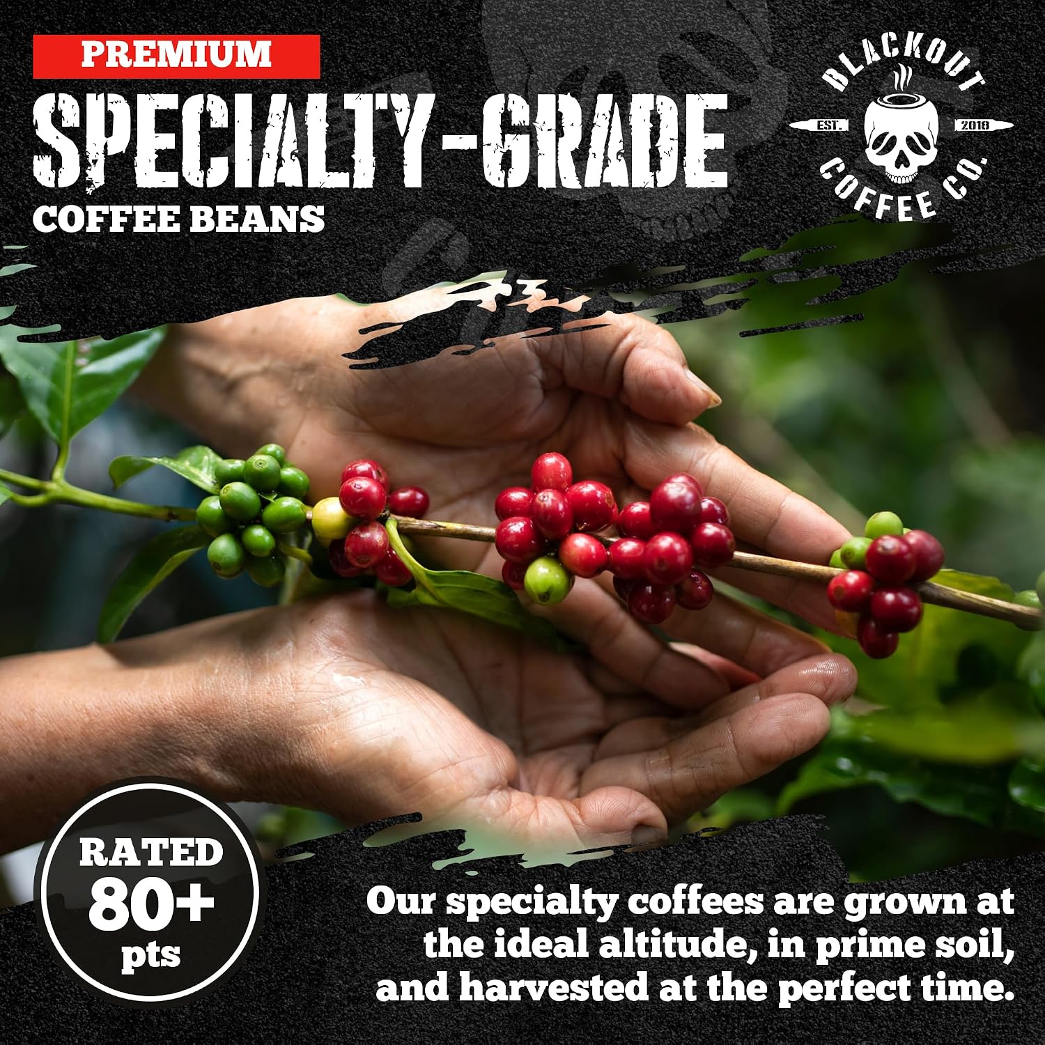 Blackout Coffee Pitch Black Espresso Ground Coffee – Extra Dark Roast