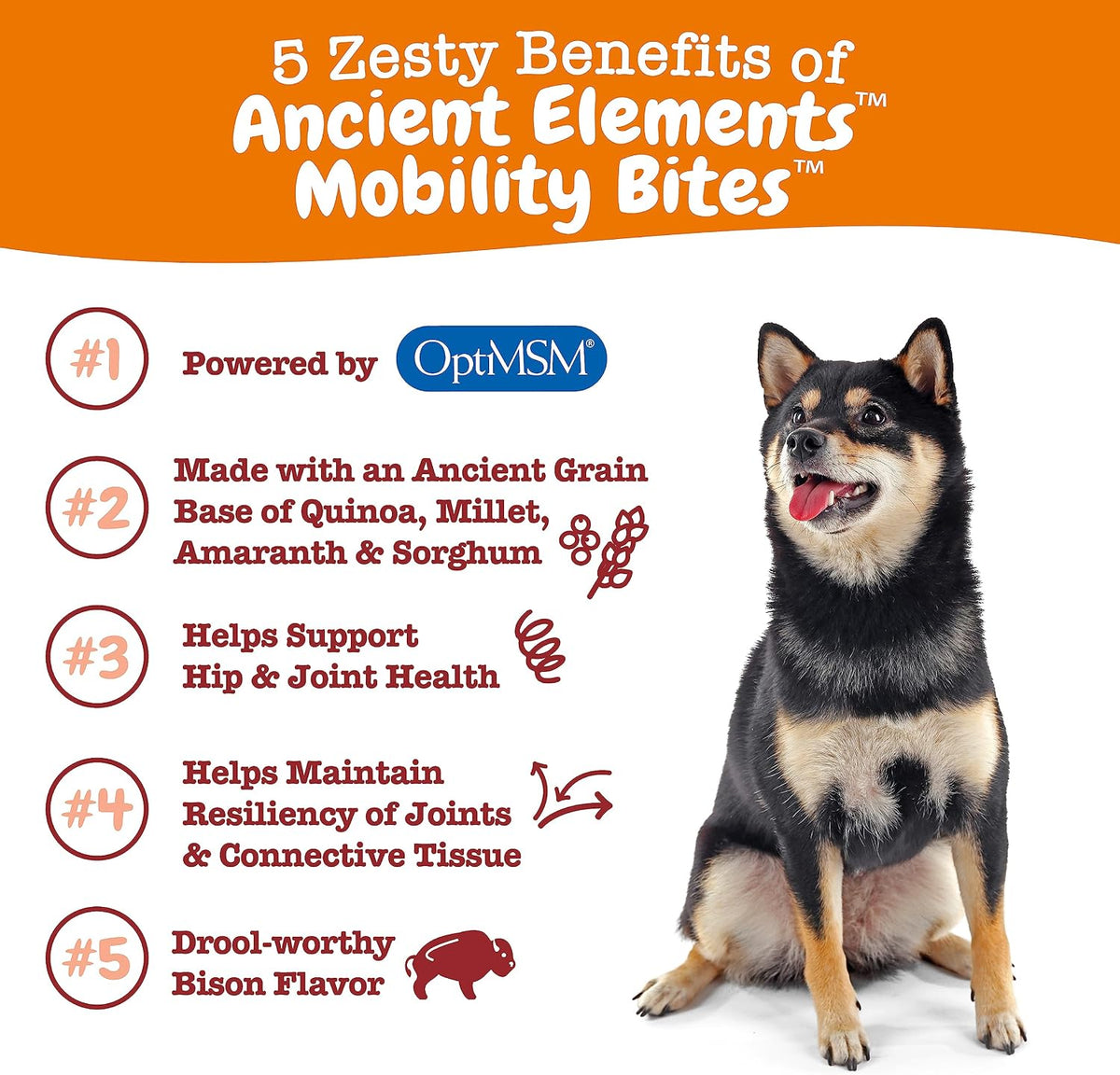 Zesty Paws Mobility Bites Dog Joint Supplement - Hip and Joint Chews for Dogs