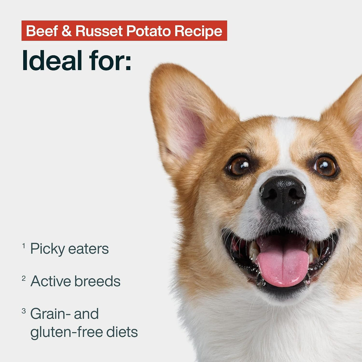 Just Food For Dogs Frozen Fresh Dog Food, Complete Meal or Topper, Beef & Russet Potato 18oz-Pk of 7