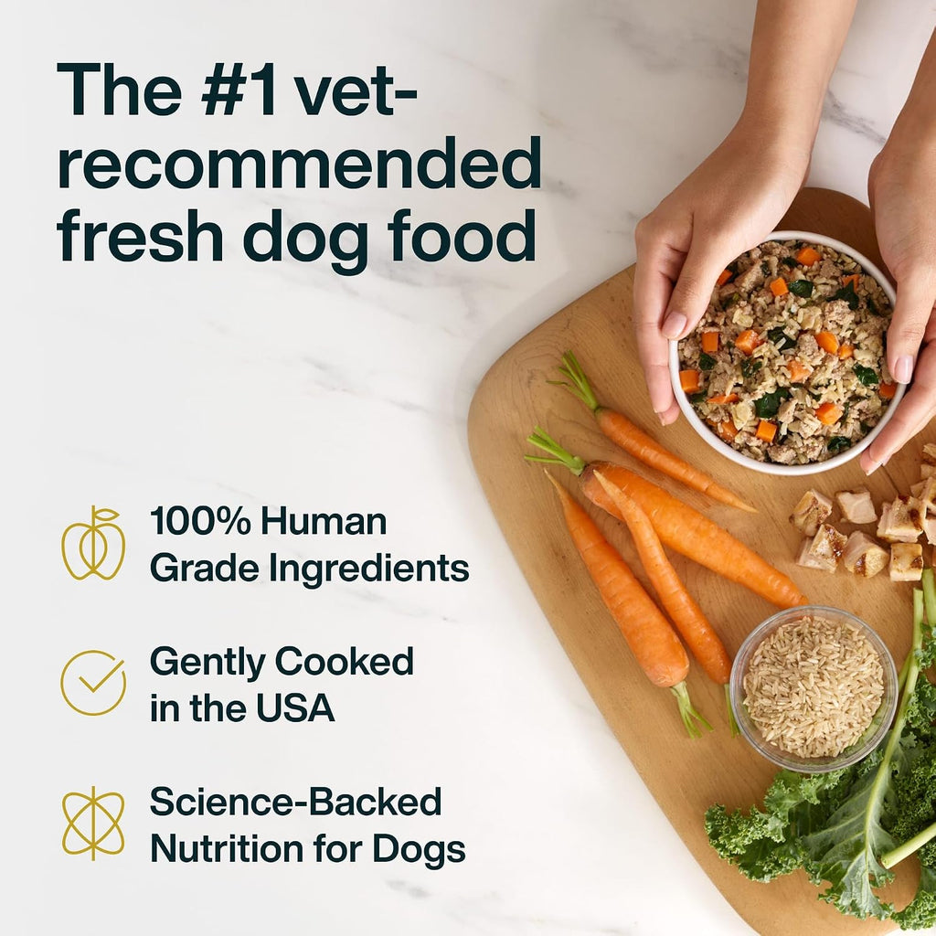 Just Food For Dogs Frozen Fresh Dog Food, Complete Meal or Topper, Chicken & Rice Human Grade Recipe, 18 oz (Pack of 7)