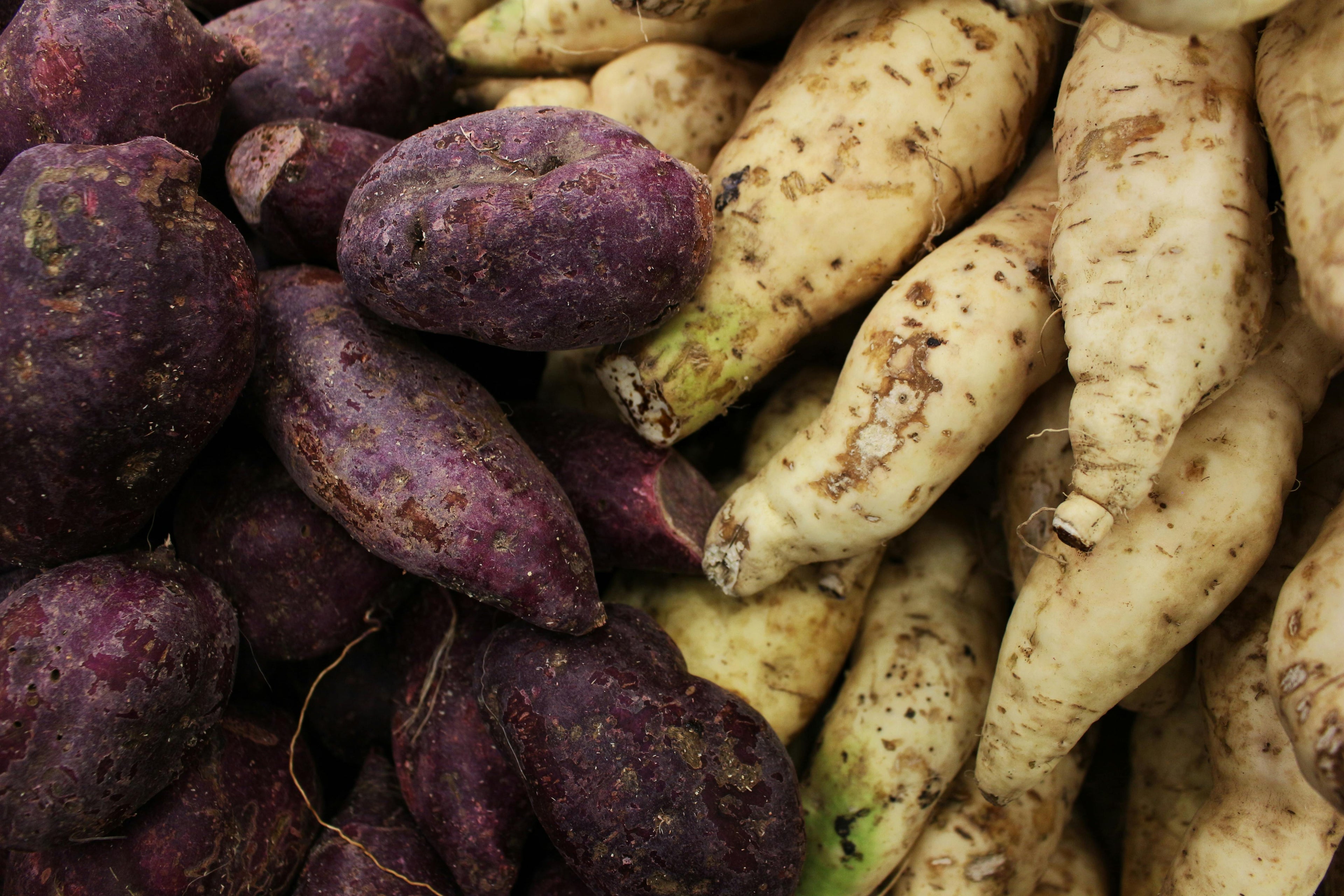 Root Vegetables