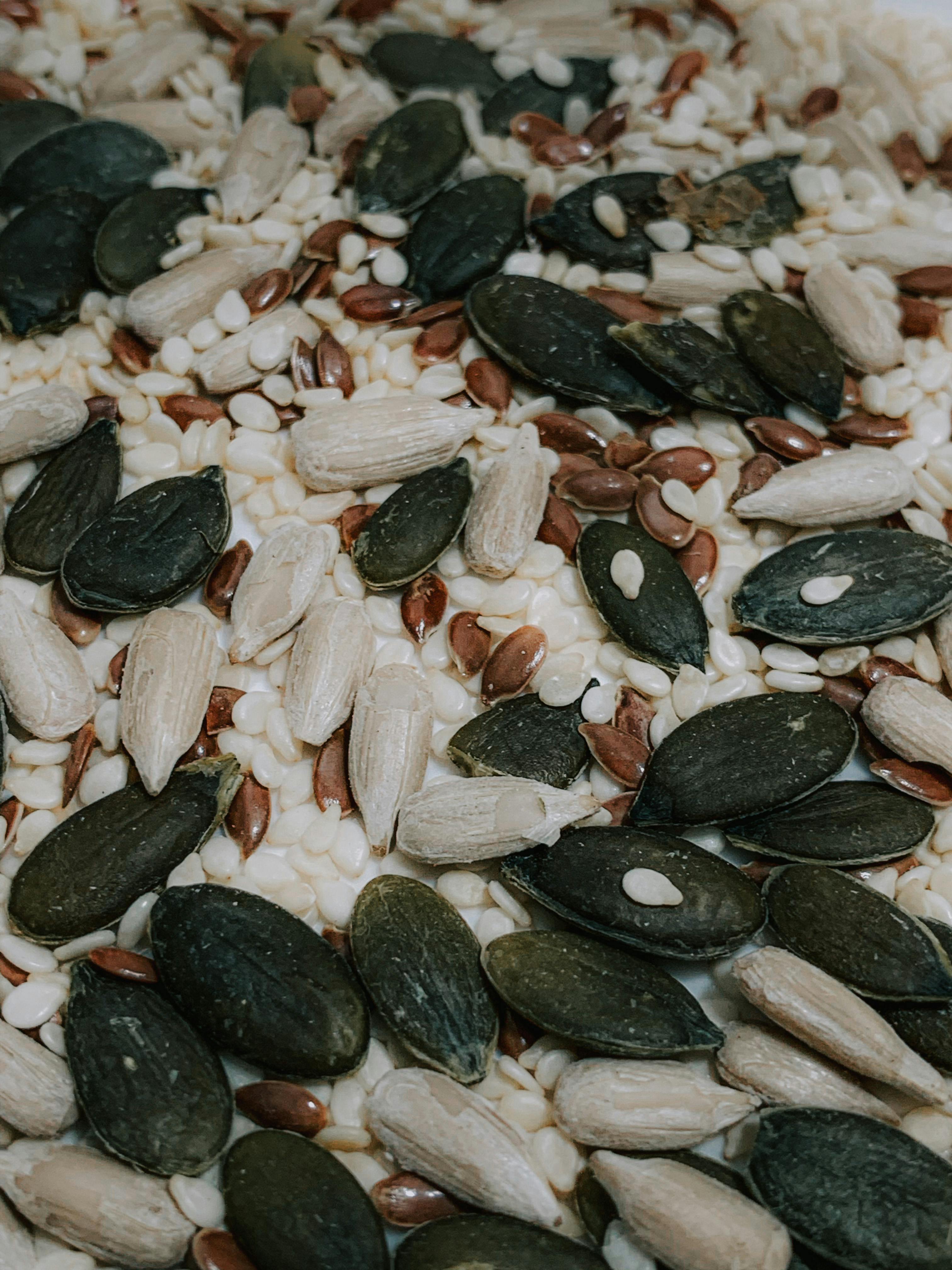 Ancient Seeds