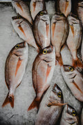 Omega-3 Fish