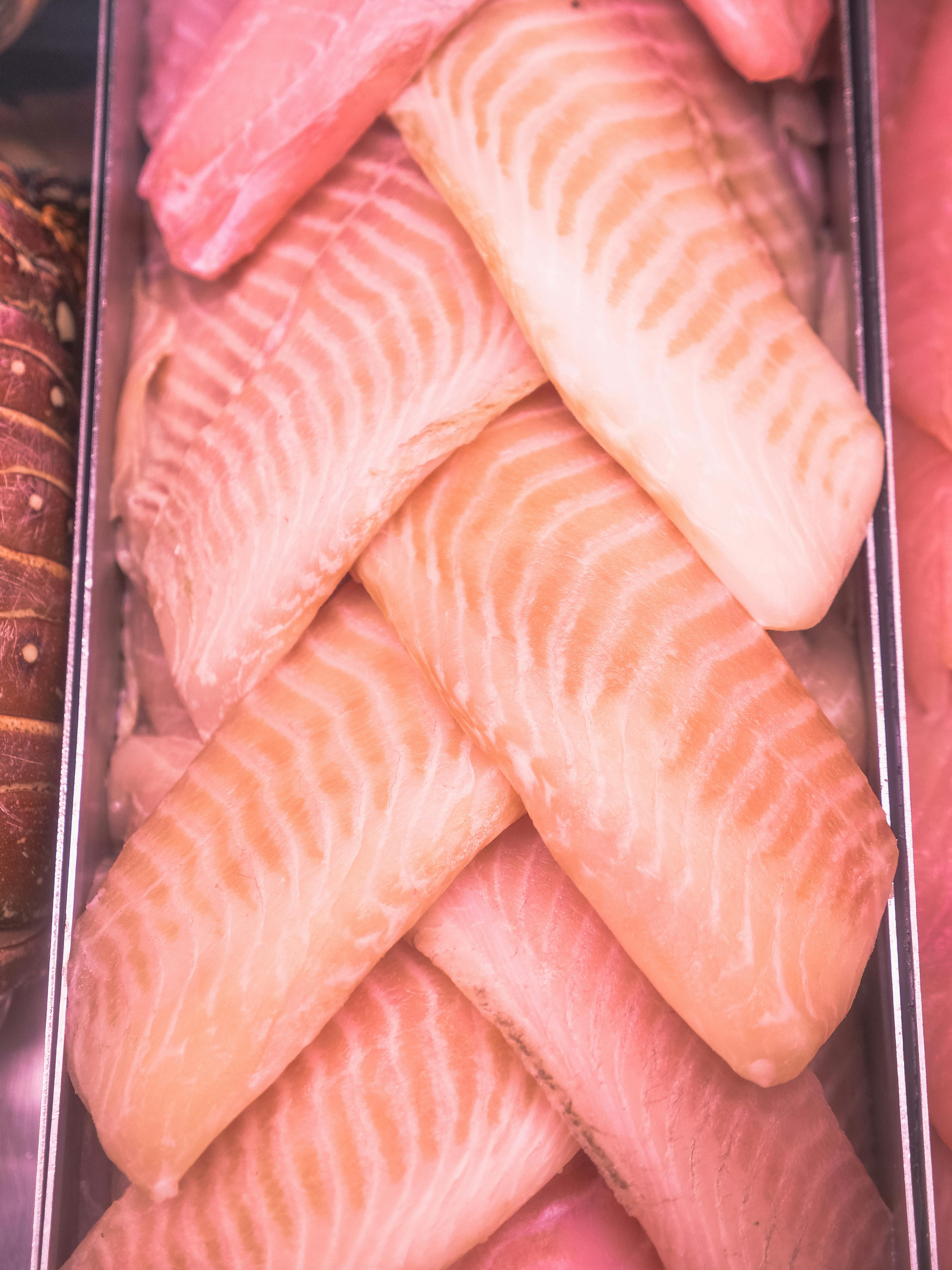 Mackerel Fish