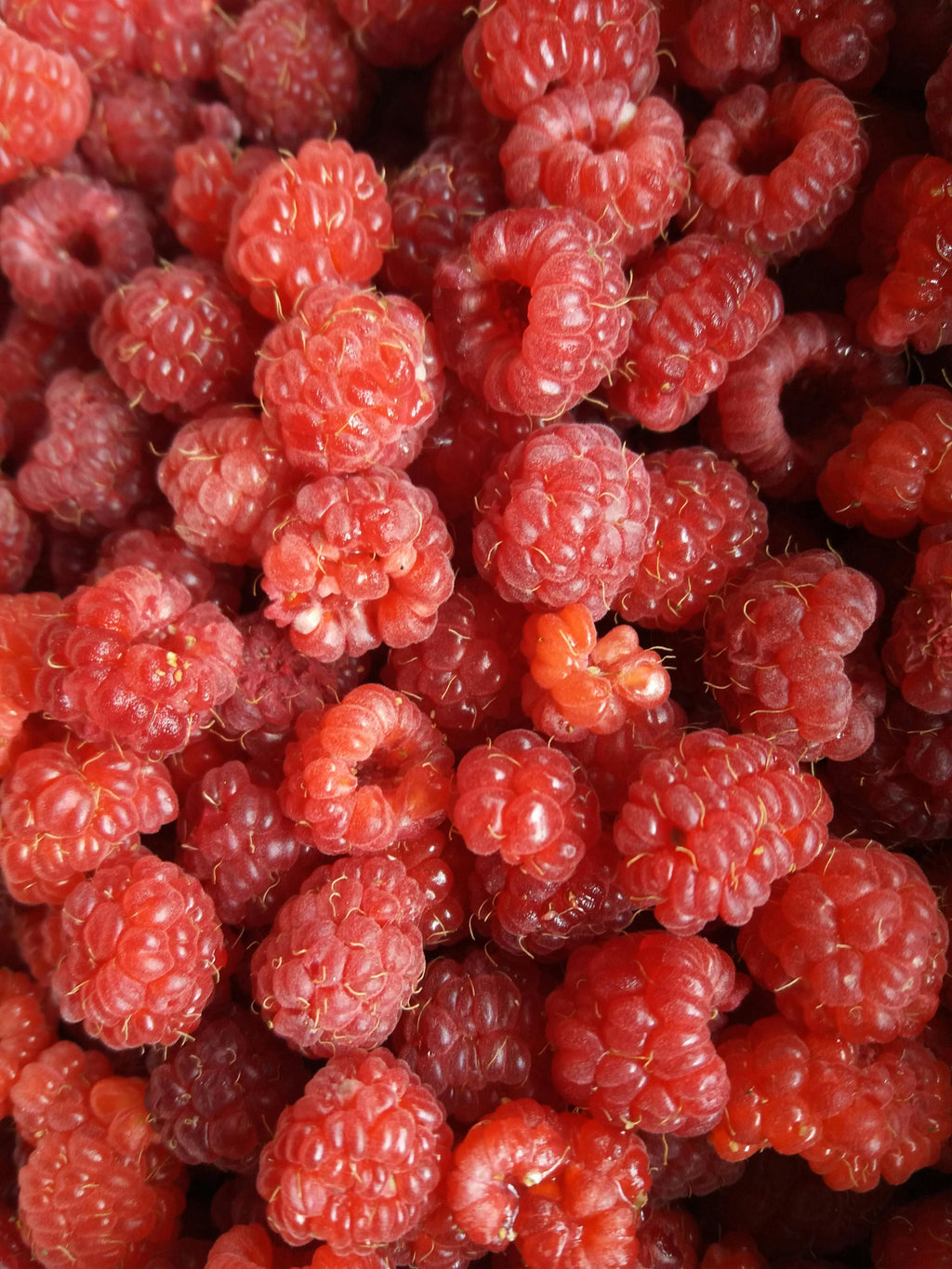 Berries