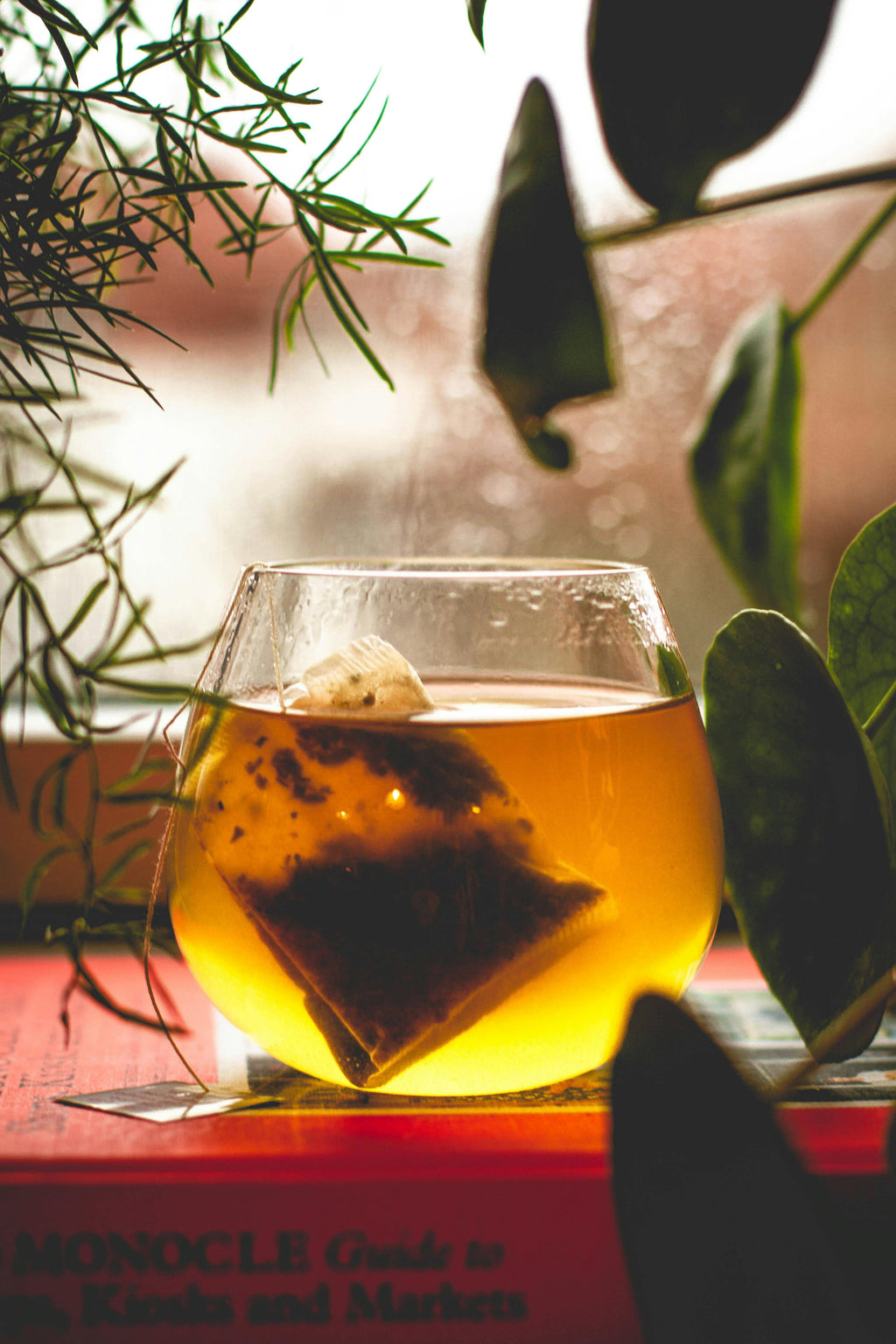 Kombucha Tea