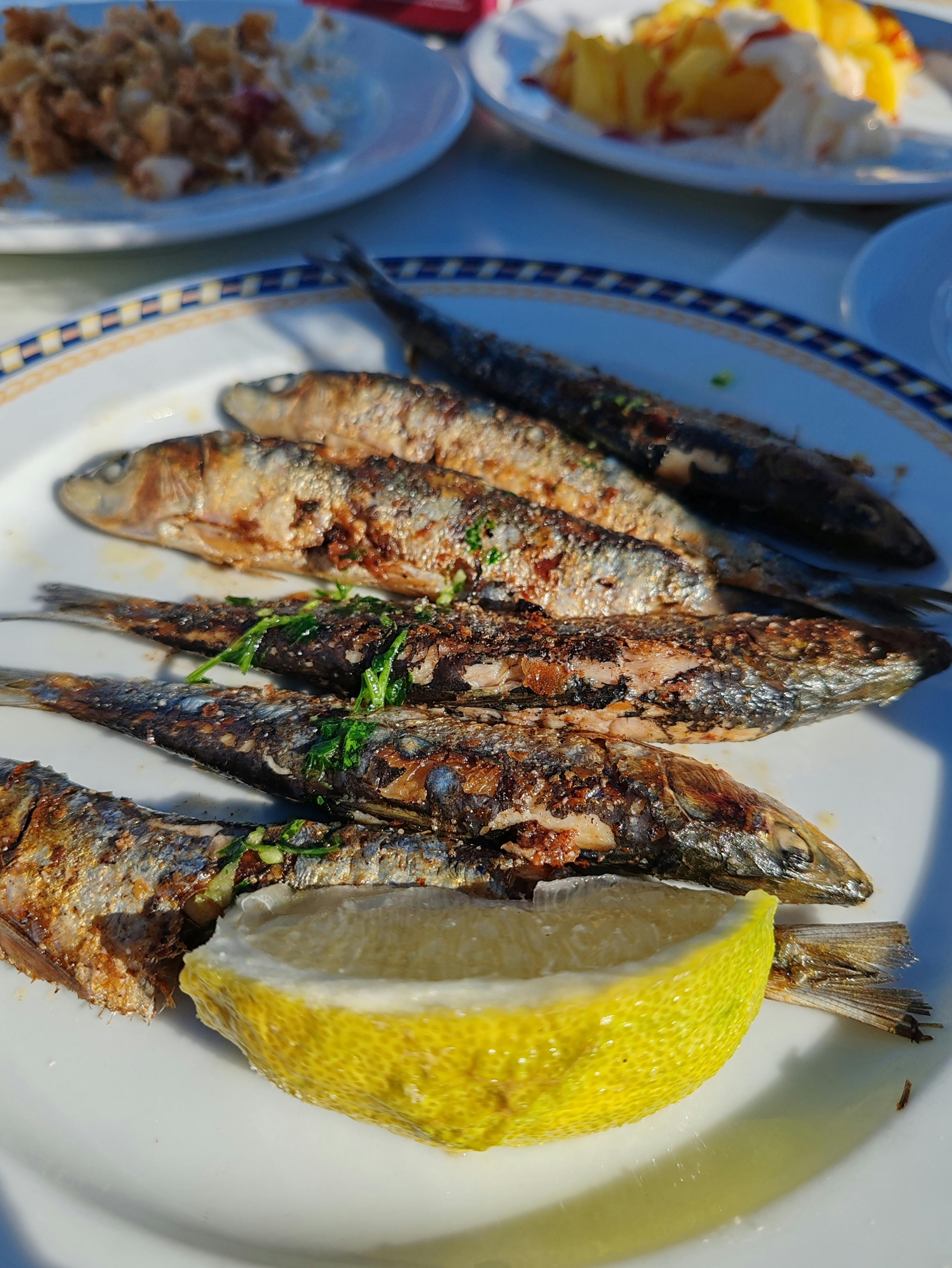 Sardines