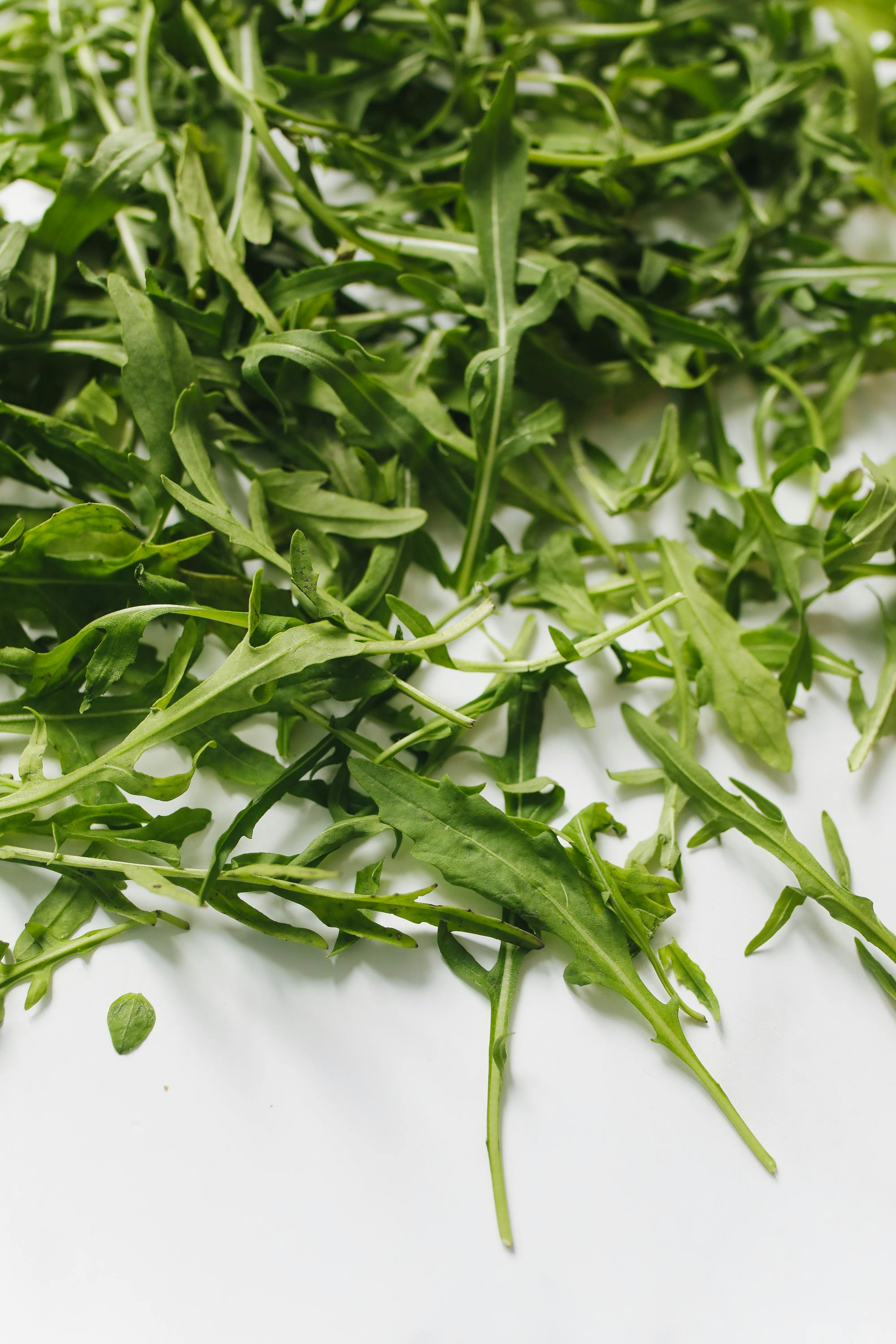 Arugula (Rocket)