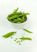 Pea Protein